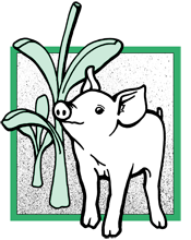 M & H Kaneshiro Farms