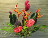 Tropical Flowers Express