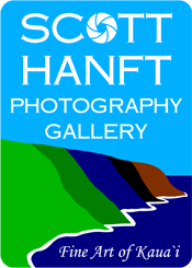 Scott Hanft Photography