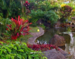 Kauai Nursery and Landscaping
