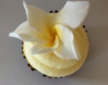 Sugar Mill Cupcakes