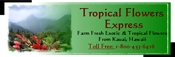 Tropical Flowers Express Tropical Flowers Express