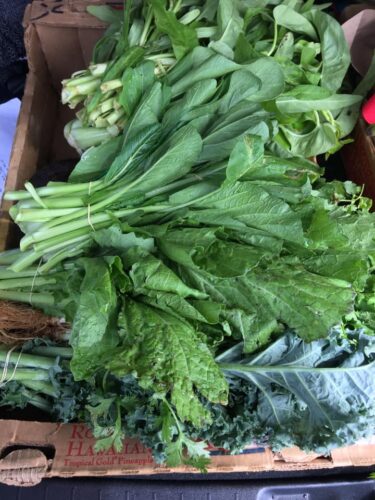 Lin’s Farms photo