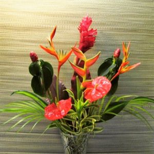 Tropical Flowers Express