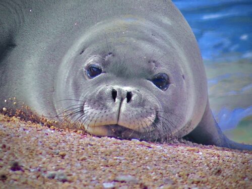 WordWorthyPhotos by Amanda JS Kaufmann