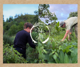 Oak & Oar Farm  logo